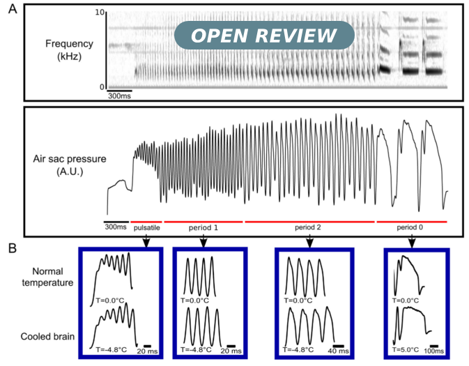 Open Review