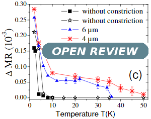 Open Review