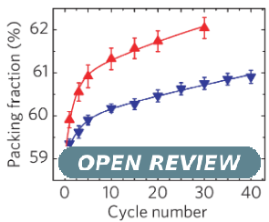 Open Review