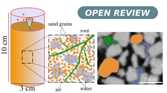 a. Cylindrical sample; b. Sketch of the rooted soil containing sand grains, water, air, root plants; c. Slice oDown to the root of vegetated soil: challenges and the state-of-the-art. Fig 6.a. Cylindrical sample; b. Sketch of the rooted soil containing sand grains, water, air, root plants; c. Slice of the tomography of a rooted sample - the elements are detected using the sketch colors